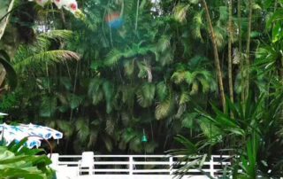 Day Use Don Pascual: Relax, Sabor e Natureza!