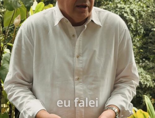 Destino e Selva: A História do Don Pascual Revelada