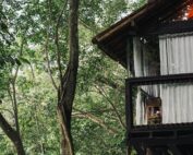 Refúgio encantador entre natureza e conforto, o Don Pascual oferece uma experiência completa de hospedagem e gastronomia. 🤎