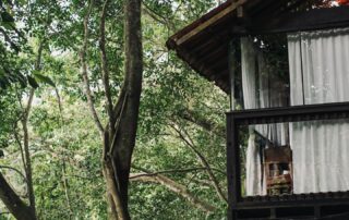 Refúgio encantador entre natureza e conforto, o Don Pascual oferece uma experiência completa de hospedagem e gastronomia. 🤎