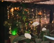 Últimos Convites: Viva o Réveillon Don Pascual!