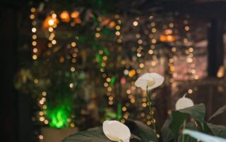 Últimos Convites: Viva o Réveillon Don Pascual!