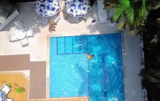 Don Pascual: Sinta Mais Que Veja Nossa Experiência