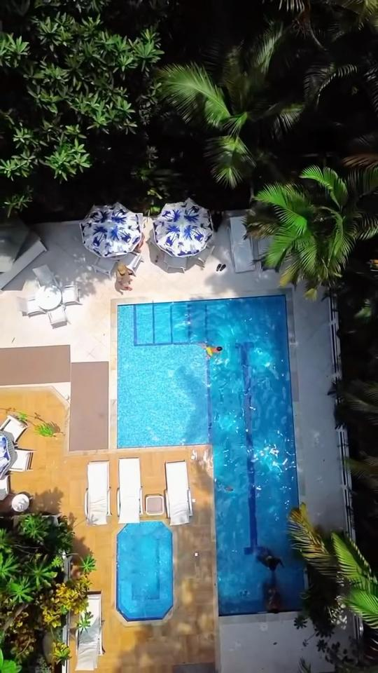 Don Pascual: Sinta Mais Que Veja Nossa Experiência