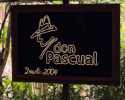 Don Pascual: Experiência que fica na memória
