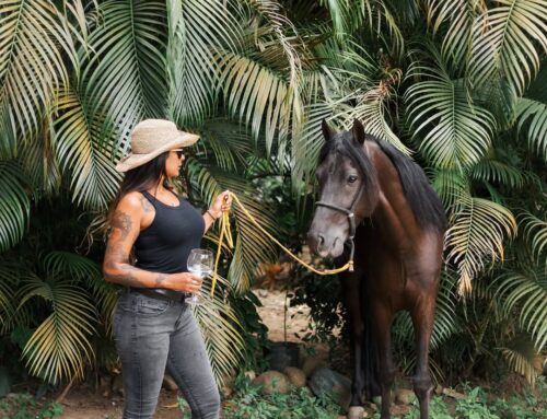 Passeio a Cavalo até a cachoeira