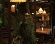 Gastronomia, natureza e tempo de qualidade. No Don Pascual, cada detalhe convida você a viver o momento. 🤍