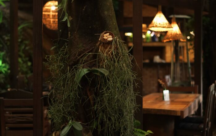 Gastronomia, natureza e tempo de qualidade. No Don Pascual, cada detalhe convida você a viver o momento. 🤍