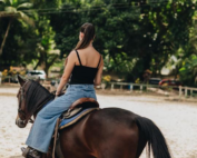 Viva a Experiência Completa no Don Pascual! 🤍